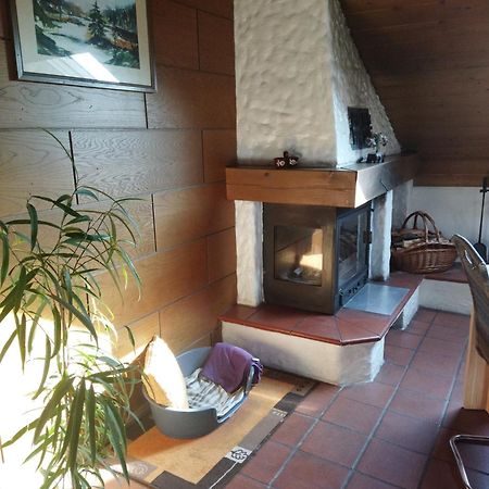 Aussergewoehnliche Atelierferienwohnung Mit Balkon An Der Donau Winzer Buitenkant foto