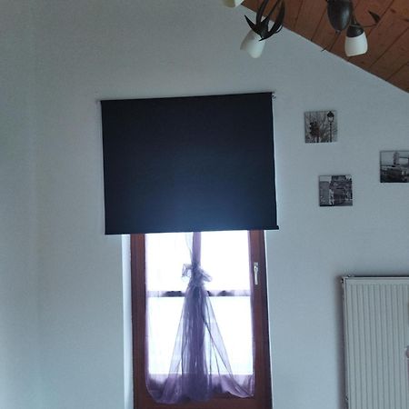 Aussergewoehnliche Atelierferienwohnung Mit Balkon An Der Donau Winzer Buitenkant foto