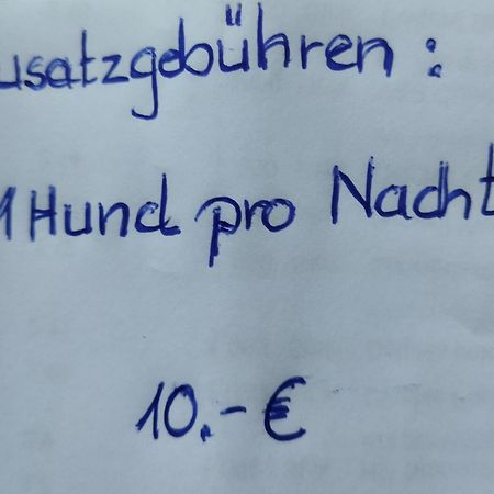 Aussergewoehnliche Atelierferienwohnung Mit Balkon An Der Donau Winzer Buitenkant foto