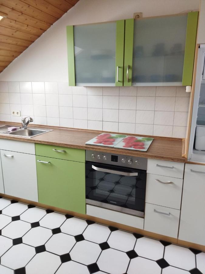 Aussergewoehnliche Atelierferienwohnung Mit Balkon An Der Donau Winzer Buitenkant foto