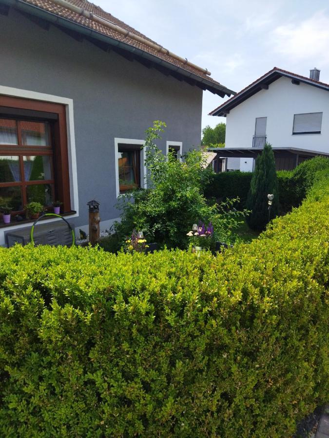 Aussergewoehnliche Atelierferienwohnung Mit Balkon An Der Donau Winzer Buitenkant foto