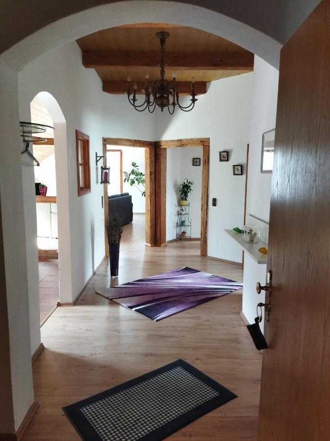 Aussergewoehnliche Atelierferienwohnung Mit Balkon An Der Donau Winzer Buitenkant foto