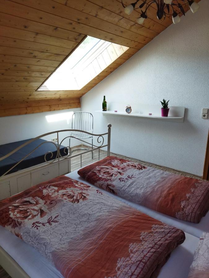 Aussergewoehnliche Atelierferienwohnung Mit Balkon An Der Donau Winzer Buitenkant foto