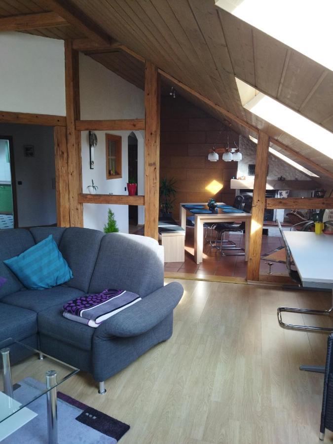 Aussergewoehnliche Atelierferienwohnung Mit Balkon An Der Donau Winzer Buitenkant foto
