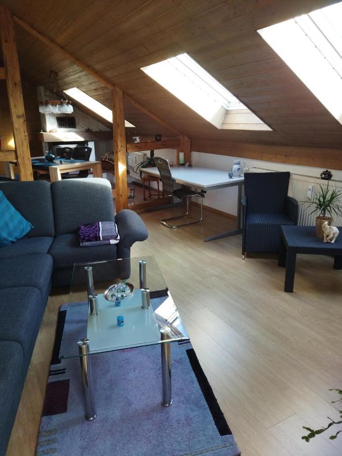 Aussergewoehnliche Atelierferienwohnung Mit Balkon An Der Donau Winzer Buitenkant foto