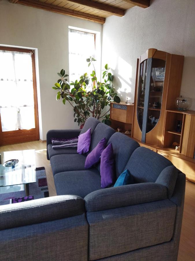 Aussergewoehnliche Atelierferienwohnung Mit Balkon An Der Donau Winzer Buitenkant foto