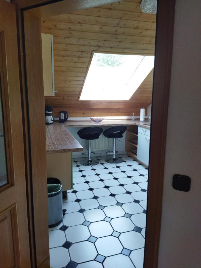 Aussergewoehnliche Atelierferienwohnung Mit Balkon An Der Donau Winzer Buitenkant foto
