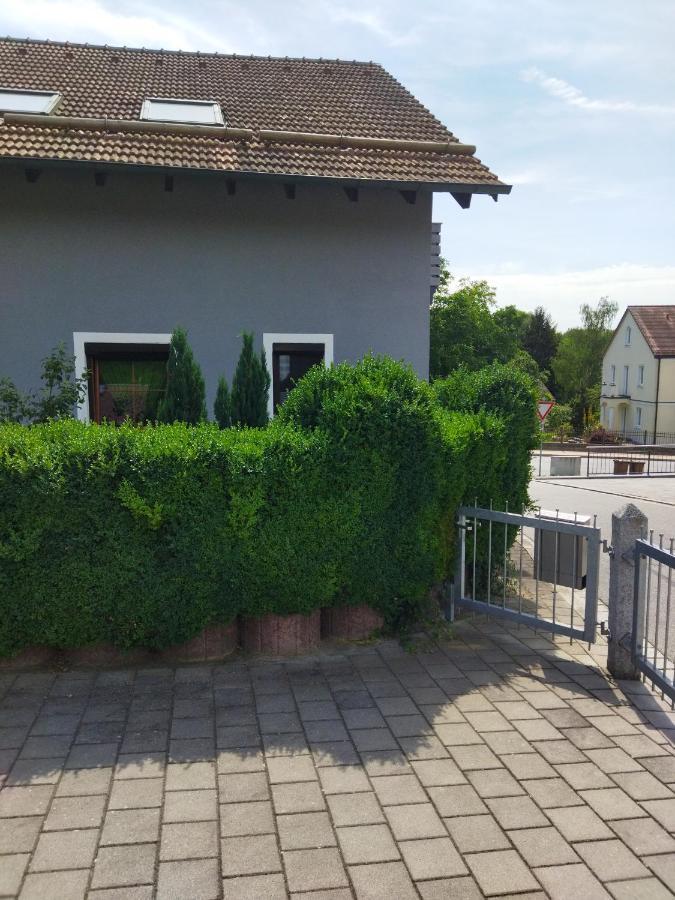 Aussergewoehnliche Atelierferienwohnung Mit Balkon An Der Donau Winzer Buitenkant foto