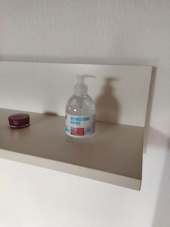 Aussergewoehnliche Atelierferienwohnung Mit Balkon An Der Donau Winzer Buitenkant foto