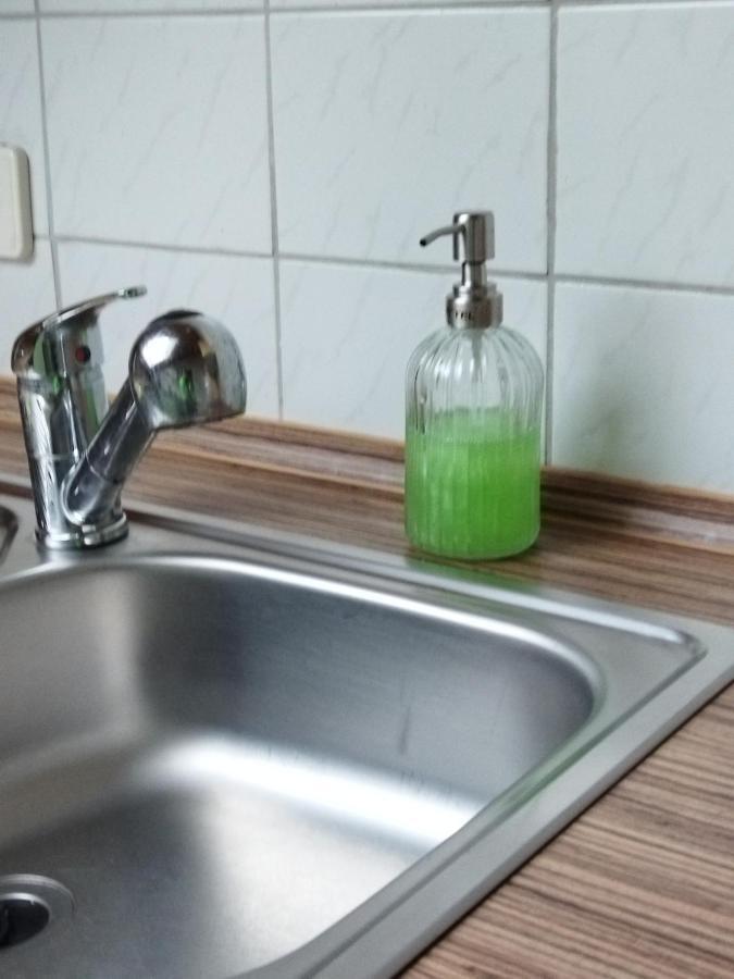 Aussergewoehnliche Atelierferienwohnung Mit Balkon An Der Donau Winzer Buitenkant foto