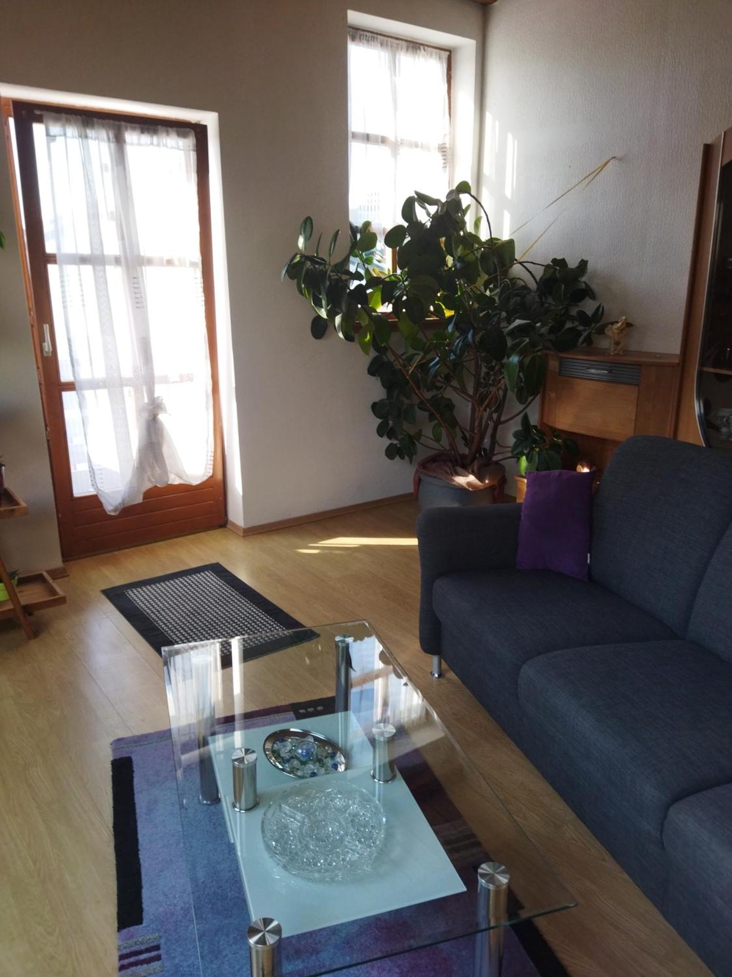 Aussergewoehnliche Atelierferienwohnung Mit Balkon An Der Donau Winzer Buitenkant foto